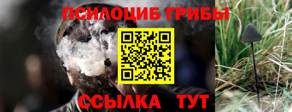 Черкесск  Псилоцибиновые грибы GOLDEN TEACHER  Вход с VPN 